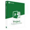 Microsoft Project 2019 Professional