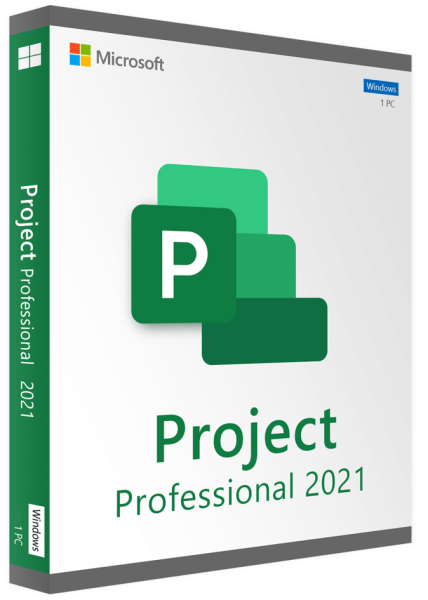 Microsoft project professional 2021